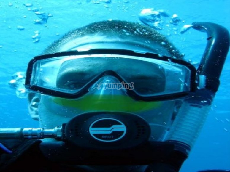 Cursos de buceo Cursos de buceo